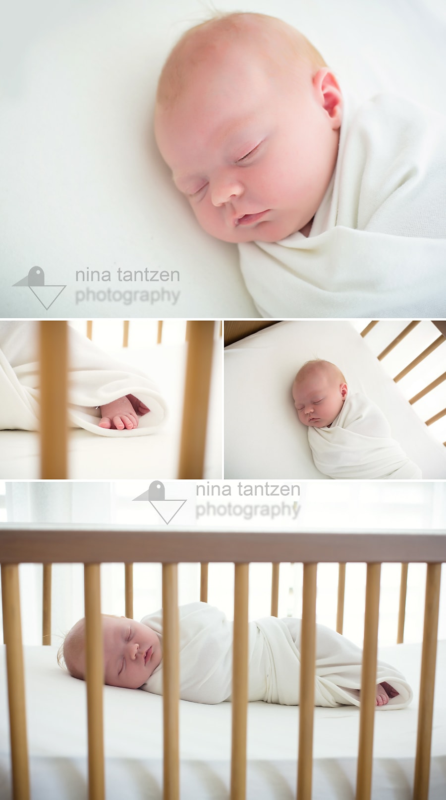 newborn images photographed in singapore