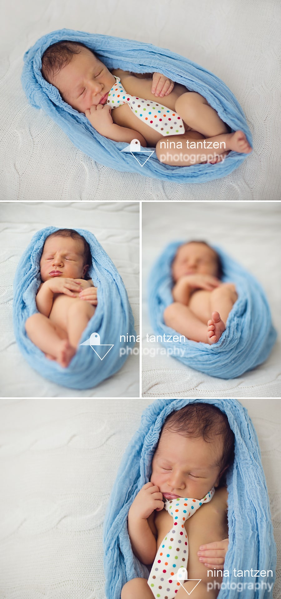 photographs of newborn boy in singapore