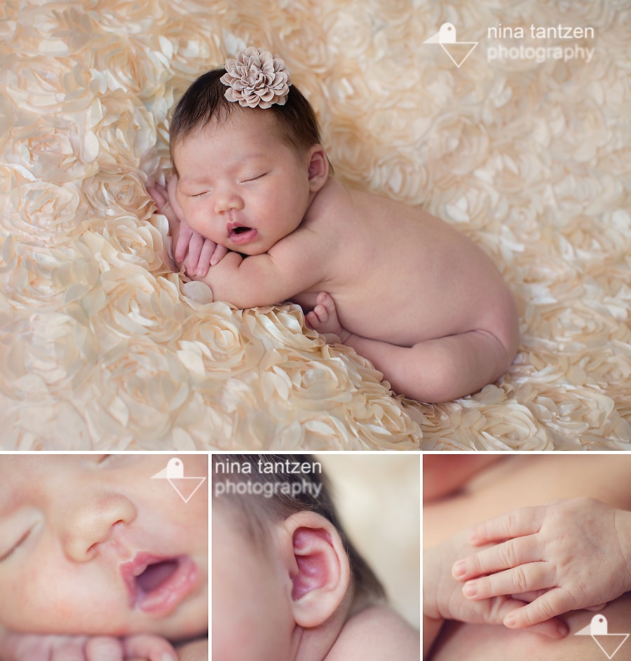 newborn photography in singapore